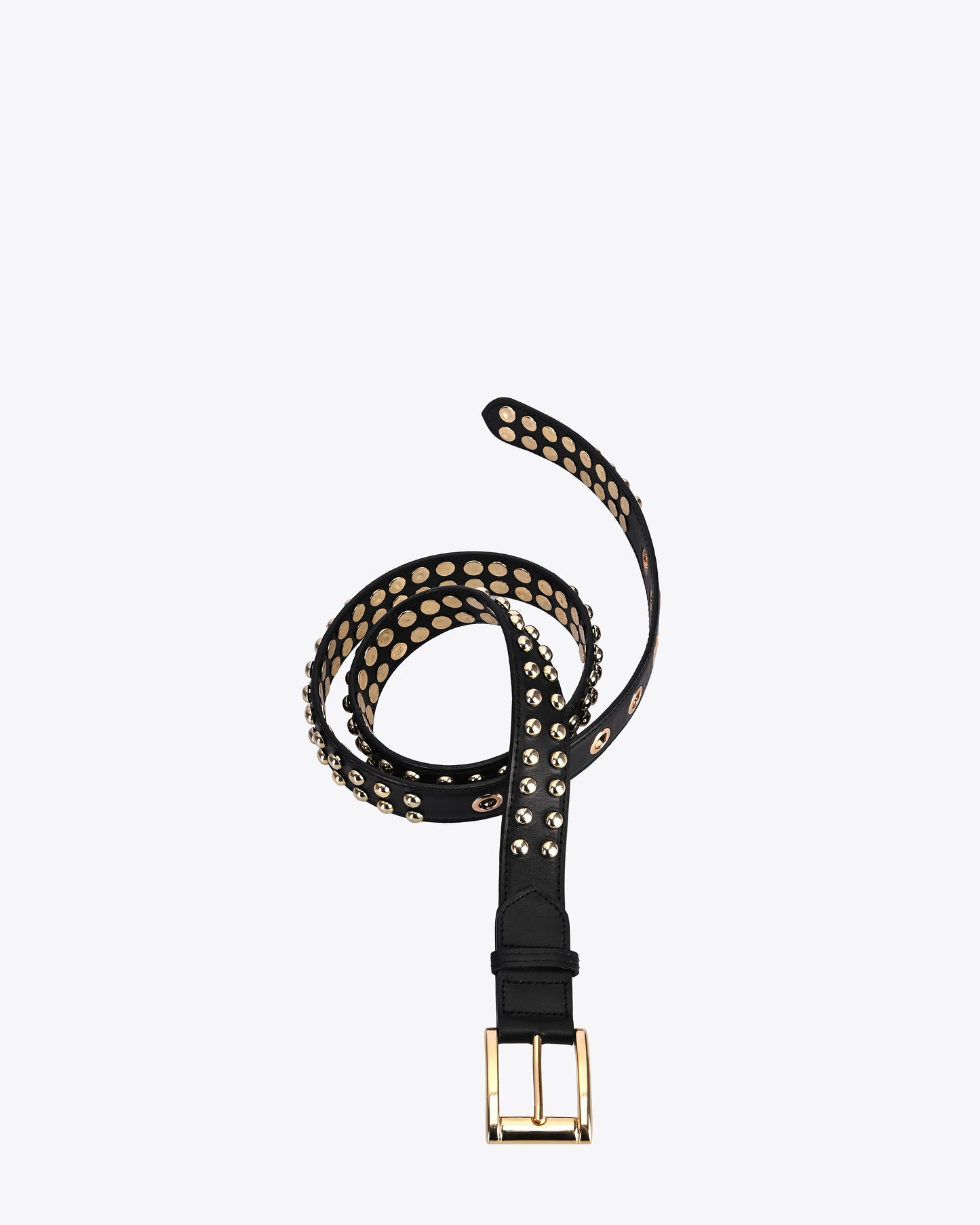 Studette Black Belt